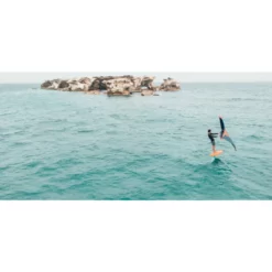 Pack F-one Rocket Wing ASC + Foil Phantom FCT + Swing 2022 -le surf Soldes Magasin planche wingfoil f one rocket wing asc 4